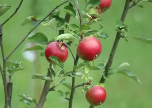 Naviják Na Solární Plachtu